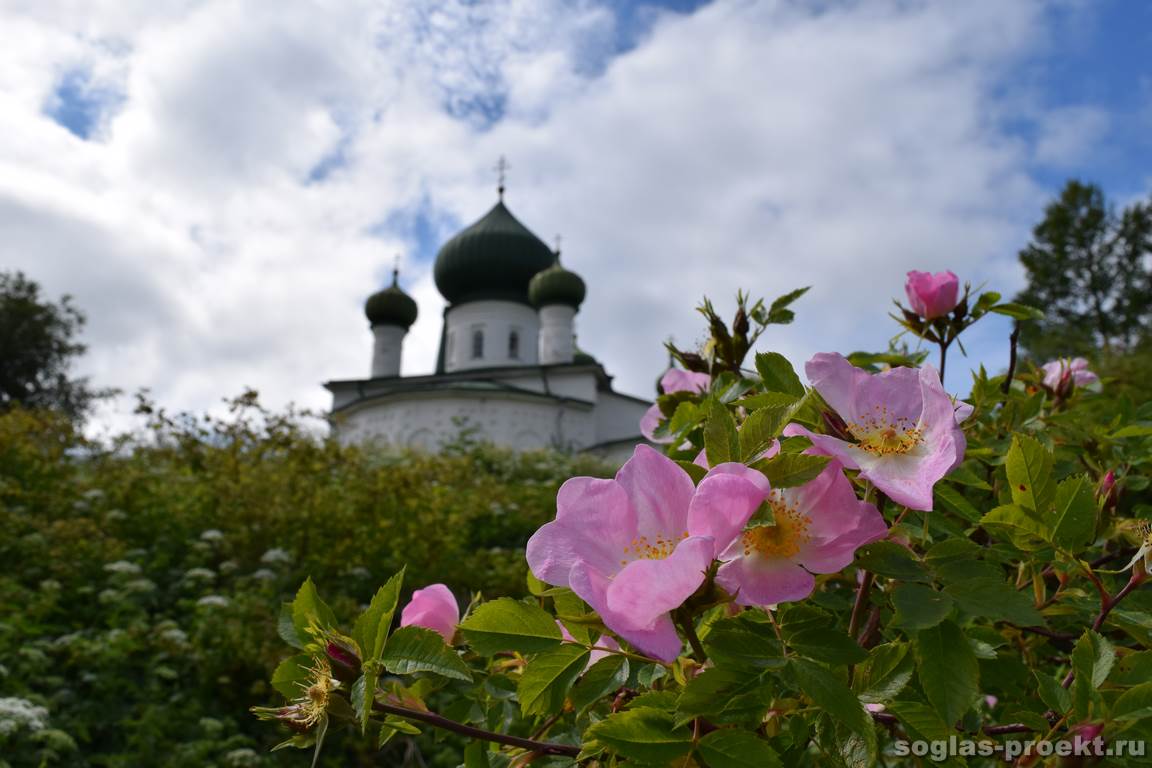 Иоанно Предтеченский храм Старая Ладога